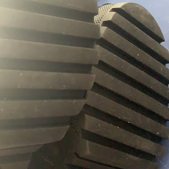 Wild dival - Picture 8 of 9